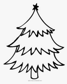 Árbol De Navidad Página Para Colorear - Christmas Tree, HD Png Download, Transparent PNG