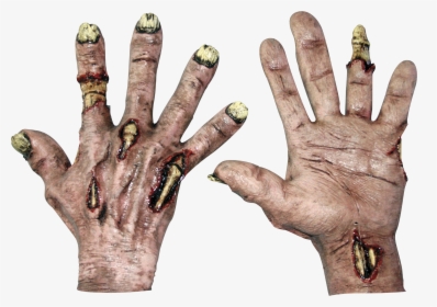 25306 - Zombie Hands, HD Png Download, Transparent PNG