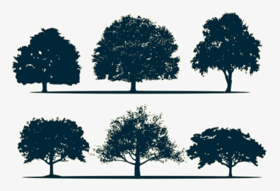 Silhouette Oak Tree - Architecture Tree Silhouette Png, Transparent Png, Transparent PNG
