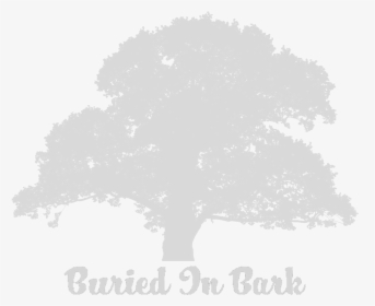 Old Oak Tree Silhouette , Png Download - Illustration, Transparent Png, Transparent PNG