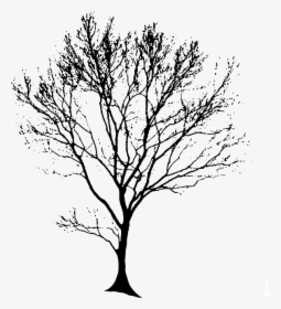Architecture Tree Silhouette Png, Transparent Png, Transparent PNG