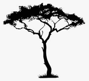Africa Tree Png - African Tree Drawings, Transparent Png, Transparent PNG
