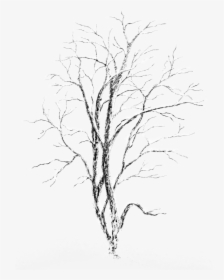 Transparent Snowy Landscape Clipart - Tree With Snow On It Transparent, HD Png Download, Transparent PNG
