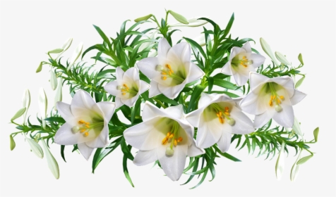 Lilies, Flowers, Perfume, Arrangement, Garden, Nature - Perfume Flowers Png, Transparent Png, Transparent PNG