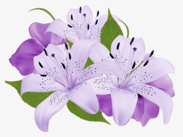 Lily Clipart Sea Flower - Purple Flowers Clipart Png, Transparent Png, Transparent PNG