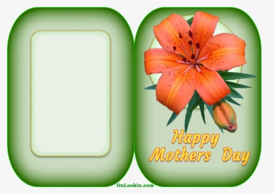 Happy Mothers Day Tiger Lily Flower A4 Card - Mother's Day, HD Png Download, Transparent PNG