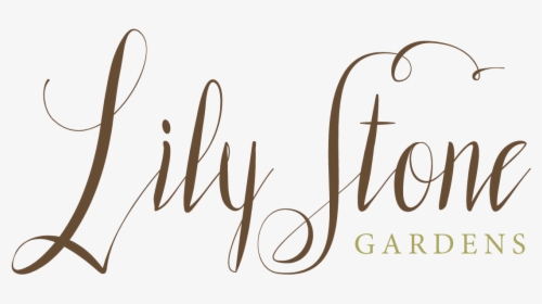 Lily Stone Gardens Logo - Calligraphy, HD Png Download, Transparent PNG