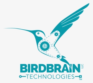 Hummingbird Robotics Logo, HD Png Download, Transparent PNG