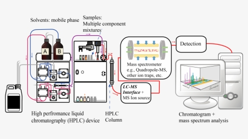 Liquid Chromatography Tandem Mass Spectrometry Diagram - Liquid Chromatography Mass Spectrometer, HD Png Download, Transparent PNG