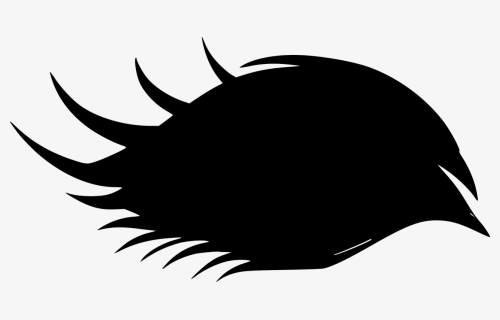 Feather, Silhouette, Sticker, Clipart - Eyelash, HD Png Download, Transparent PNG
