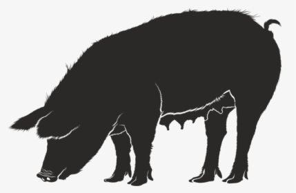 Clipart Pig Silhouette - Silhouettes Of Pig Png, Transparent Png, Transparent PNG