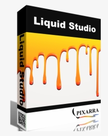 Liquid Studio - Kiddie Kandids, HD Png Download, Transparent PNG