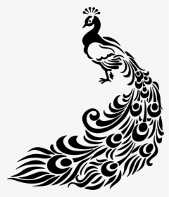 Drawing Line Art Peafowl Clip Art - Black And White Peacock Art, HD Png Download, Transparent PNG