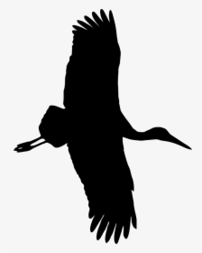 Png Stork Silhouette, Transparent Png, Transparent PNG