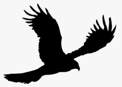 Bald Eagle Silhouette - Native American Silhouette Feathers, HD Png Download, Transparent PNG