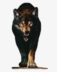 #angry #wolf #animals #mouth - Angry Wolf Images Hd, HD Png Download, Transparent PNG