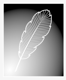 Leaf,monochrome Photography,monochrome - Floating Feather Free, HD Png Download, Transparent PNG