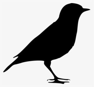 Silhouette, Bird, Nature, From The Side, Sitting - Black Bird Png, Transparent Png, Transparent PNG