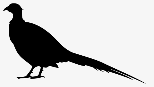 Silhouette Of A Pheasant, HD Png Download, Transparent PNG