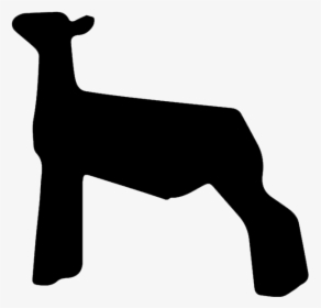 If You Found This Page By Searching For Show Lamb Clip - Show Lamb Svg, HD Png Download, Transparent PNG