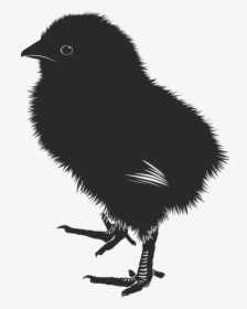 Chick, Animal, Farm, Baby, Silhouette - Baby Chick Silhouette, HD Png Download, Transparent PNG