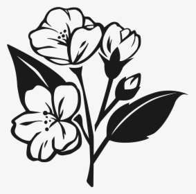 Transparent Jasmine Flower Png - Jasmine Flower Vector Png Black White, Png Download, Transparent PNG