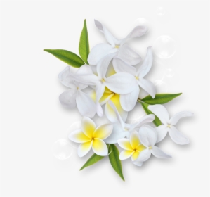 White Flowers Images Png, Transparent Png, Transparent PNG