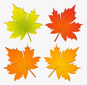Download Set Of Autumn Leaves Png Clipart Png Photo - Clip Art Maple Leaf Autumn, Transparent Png, Transparent PNG