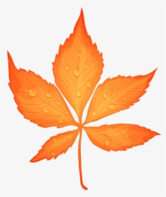 Transparent Autumn Leaf Leaf Png , Png Download - Yellow Fall Leaf Clip Art, Png Download, Transparent PNG