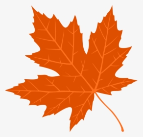 Free Images Autumn Leaves, HD Png Download, Transparent PNG