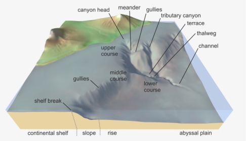 Submarine Canyon - Submarine Canyon Geomorphology, HD Png Download, Transparent PNG