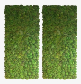 Bun Moss Wall 2 - Interior Green Wall Texture, HD Png Download, Transparent PNG