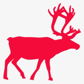 Null - Reindeer Clipart, HD Png Download, Transparent PNG