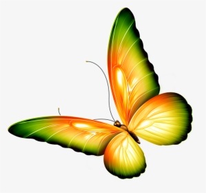 Butterfly Png Clipart Yellow And Green Transparent - Butterfly Clipart Transparent Background, Png Download, Transparent PNG