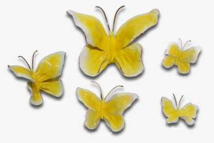 “buttercup Butterflies” - Pieridae - Buttercup Butterfly, HD Png Download, Transparent PNG