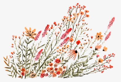 Dainty Flower Drawing Transparent, HD Png Download, Transparent PNG