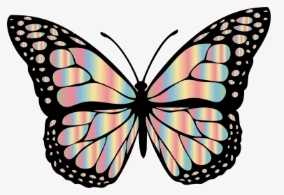 Transparent Free Butterfly Png - Black And Grey Butterfly, Png Download, Transparent PNG