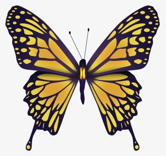 Yellow Butterfly, Butterfly, Nature, Wings, Beautiful - Motyl Abeona, HD Png Download, Transparent PNG