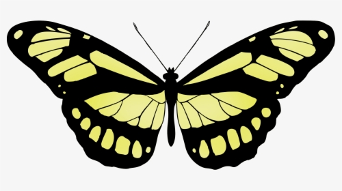 Butterfly 15 Clip Arts - Vintage Butterfly Images Free, HD Png Download, Transparent PNG