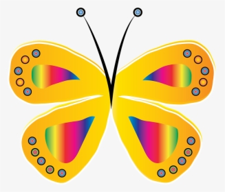 Butterfly, Yellow, Circle, Bright, Design, Insect - Borboleta Amarela E Rosa, HD Png Download, Transparent PNG