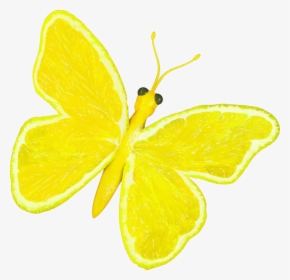 Butterfly,lemon Lime,lemon - Cartoon Photos Of A Yellow Butterfly, HD Png Download, Transparent PNG