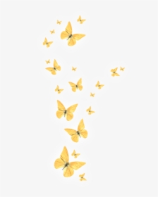 Transparent Gold Butterfly Png - Picsart Light Butterfly Png, Png Download, Transparent PNG