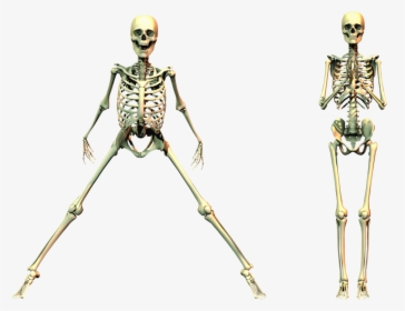 Spooky Skeleton Png - Spooky Skeleton Transparent Background, Png Download, Transparent PNG