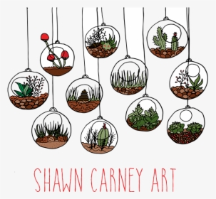 Shawn Carney Art - Terrarium Drawing Png, Transparent Png, Transparent PNG