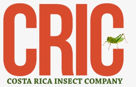 Costa Rica Insect Company, HD Png Download, Transparent PNG