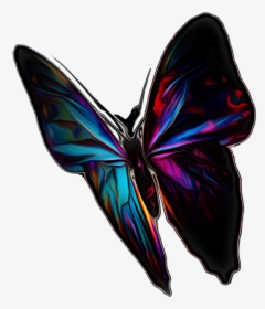 Butterfly Insect Summer Free Picture - Brush-footed Butterfly, HD Png Download, Transparent PNG