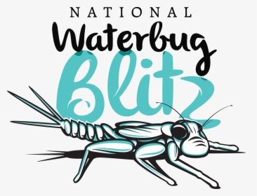 Waterbug Blitz, HD Png Download, Transparent PNG