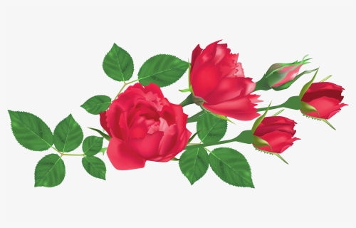 Roses Roses Png - Rose And Leaf Png, Transparent Png, Transparent PNG