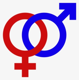 Gender Signs - Male And Female Symbol Png, Transparent Png, Transparent PNG