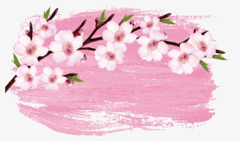 Cherry Blossom Branch - Sakura Banner, HD Png Download, Transparent PNG
